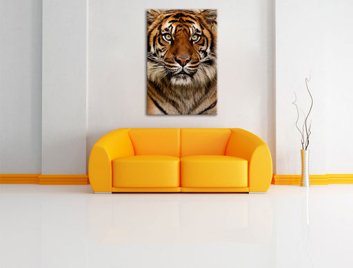 Aufmerksamer Tiger Leinwandbild über Sofa