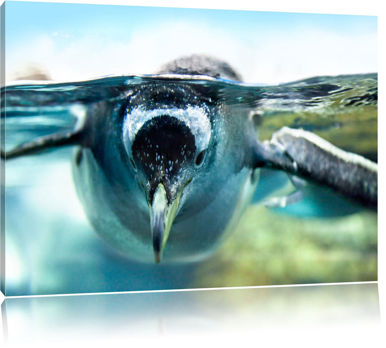 Pixxprint Pinguin im Wasser, Leinwandbild