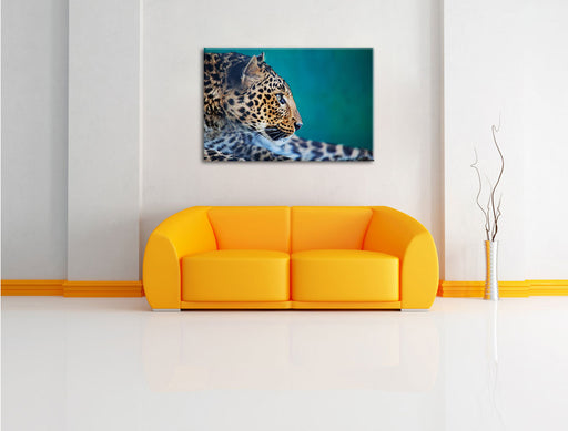 Wachsamer Gepard Leinwandbild über Sofa