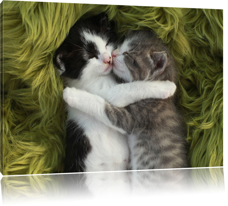 Pixxprint Zwei kuschelnde Käzchen, Leinwandbild