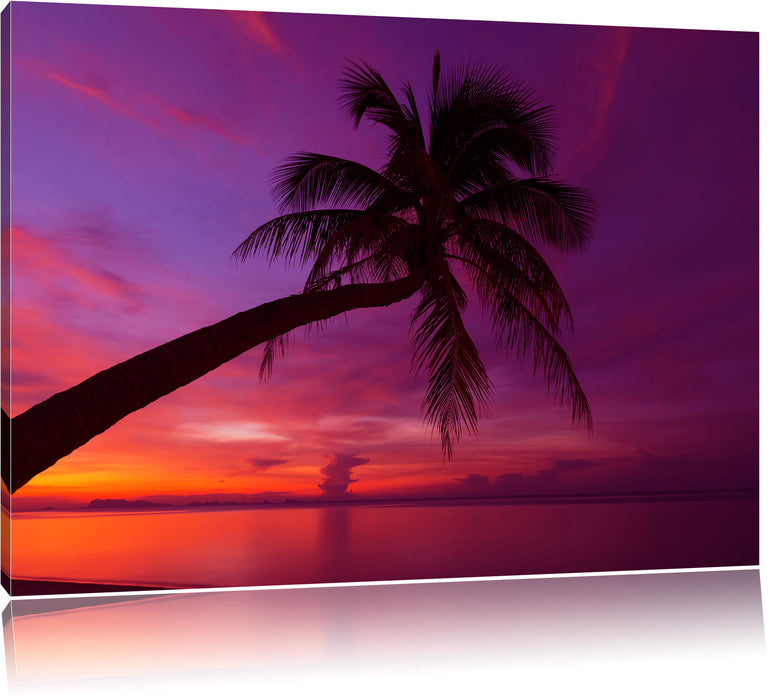Palme am Meer mit Sonnenuntergang Leinwandbild