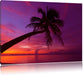 Palme am Meer mit Sonnenuntergang Leinwandbild