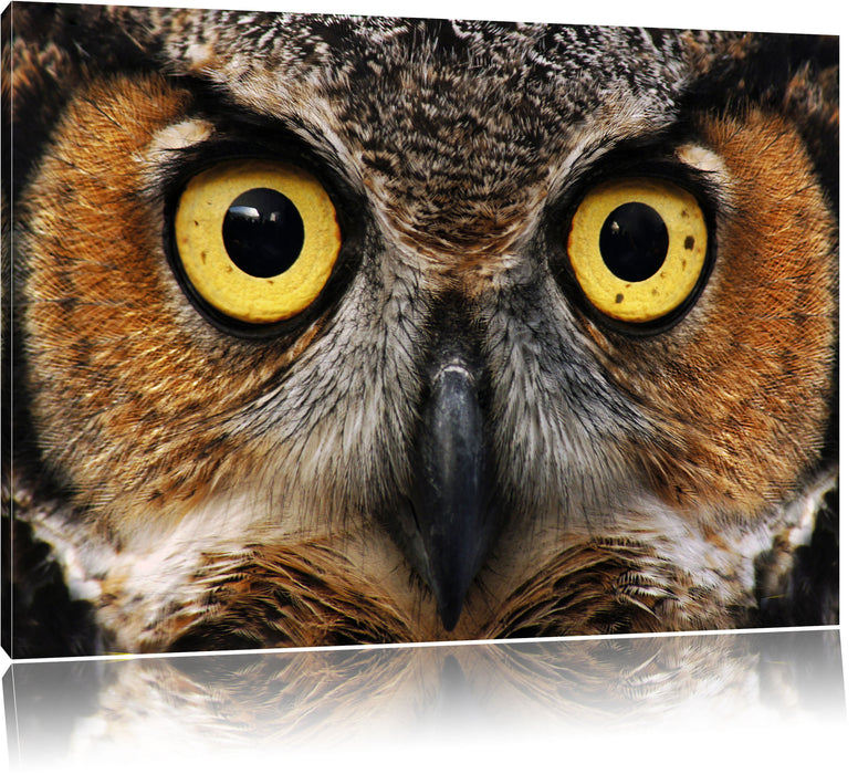 Pixxprint Aufgeweckter Uhu, Leinwandbild