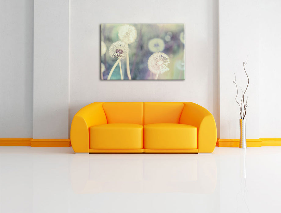 Romantische Pusteblumen Leinwandbild über Sofa