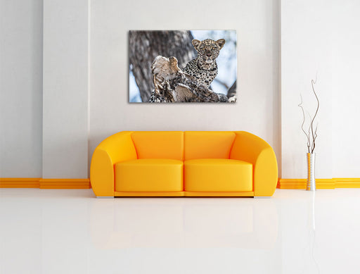 Leopardjunges auf Baum Leinwandbild über Sofa
