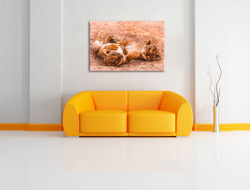 Spielende Löwenjungen Leinwandbild über Sofa