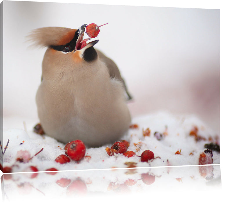 Pixxprint Kleiner Vogel im Schnee, Leinwandbild