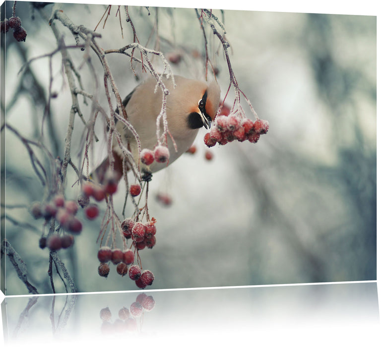 Pixxprint Kleiner Vogel im Vogelbeerbaum, Leinwandbild