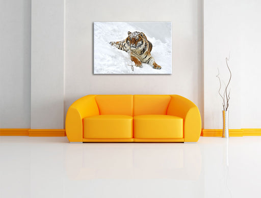 Amur Tiger im Schnee Leinwandbild über Sofa