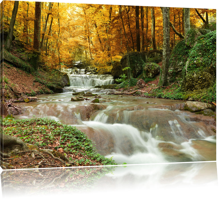 Pixxprint Waldbach im Herbst, Leinwandbild