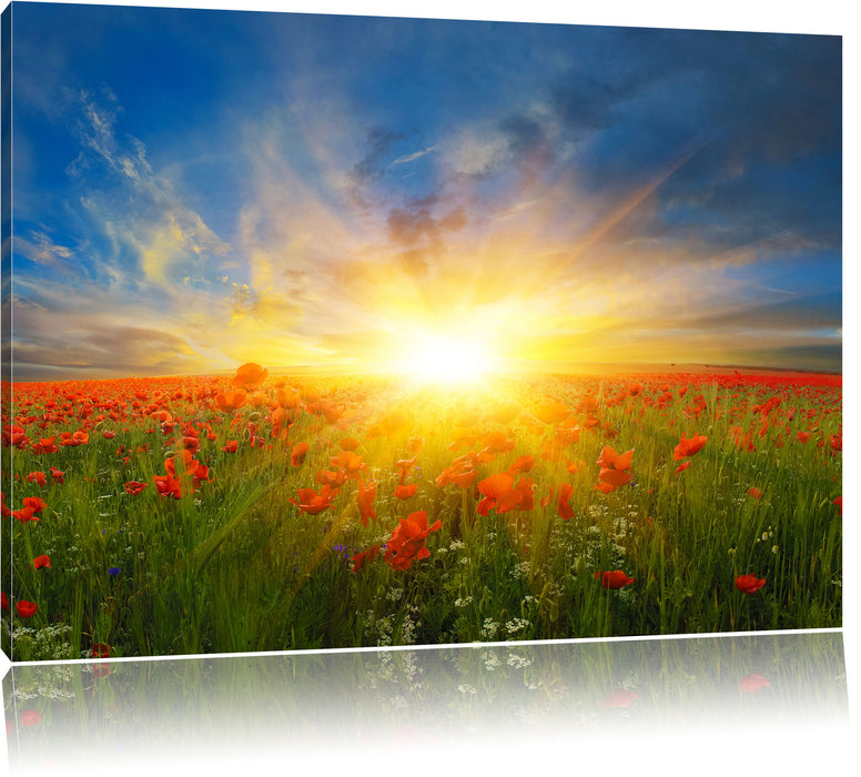 Pixxprint Mohnwiese in der Sonne, Leinwandbild