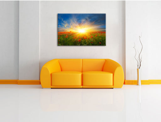 Mohnwiese in der Sonne Leinwandbild über Sofa