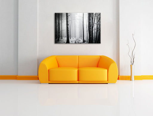 Mystischer Wald Leinwandbild über Sofa