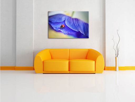 Marienkäfer auf lila Blüte Leinwandbild über Sofa