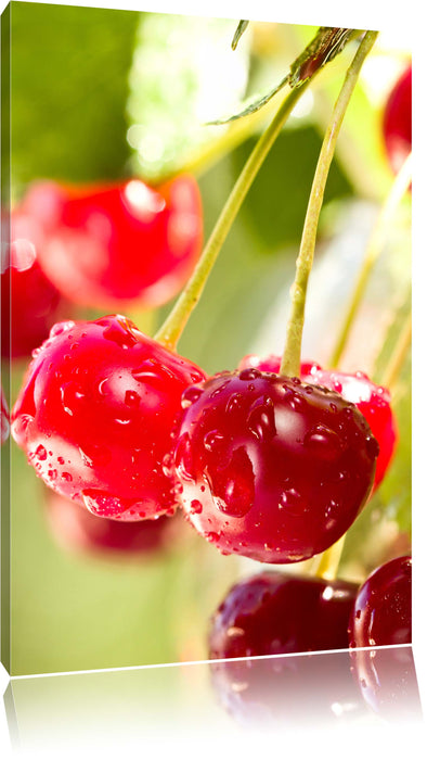Pixxprint Frische Kirschen am Baum, Leinwandbild