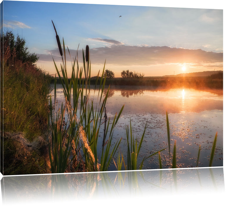 Pixxprint Sonniger Morgen, Leinwandbild