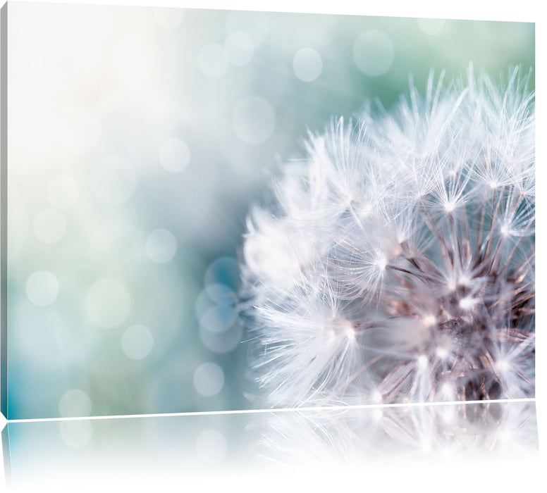 Pixxprint Kleine Pusteblume, Leinwandbild