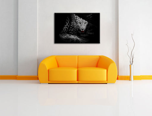 Neugieriger Gepard Leinwandbild über Sofa