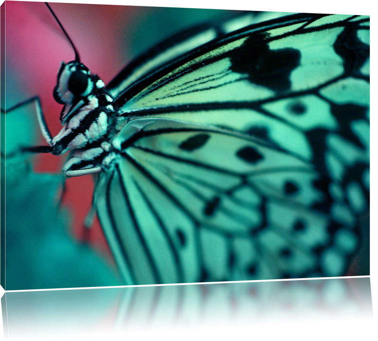 Pixxprint Wunderschöner Schmetterling, Leinwandbild