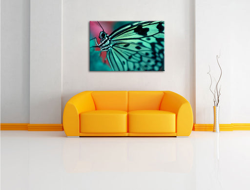 Wunderschöner Schmetterling Leinwandbild über Sofa
