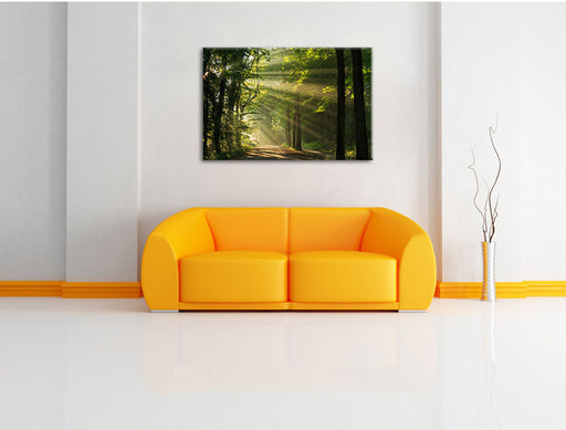 Waldweg im Frühling Leinwandbild über Sofa