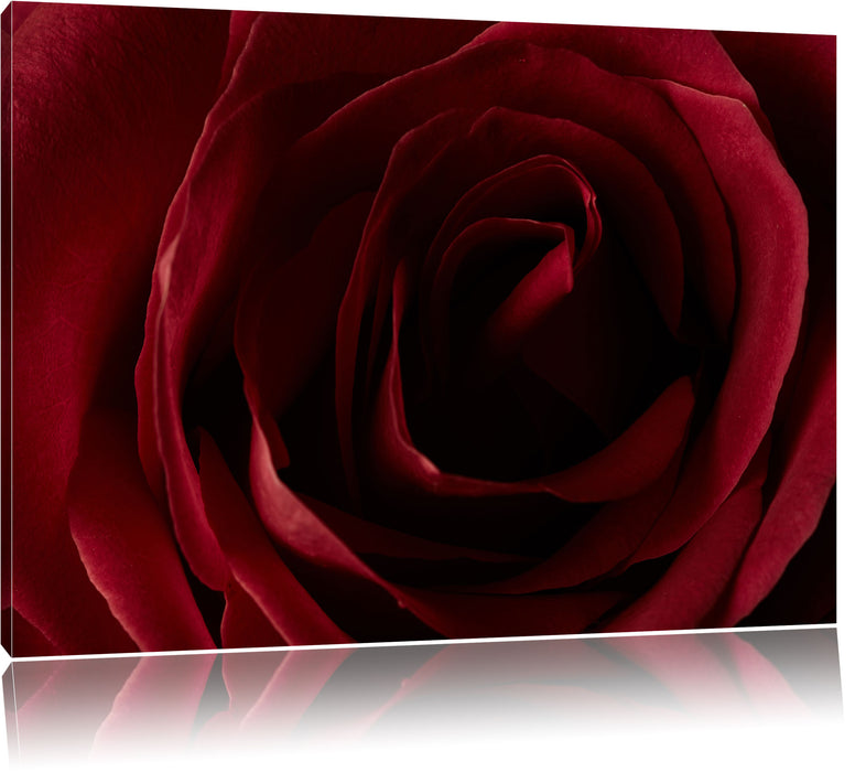 Pixxprint Rote Rose, Leinwandbild