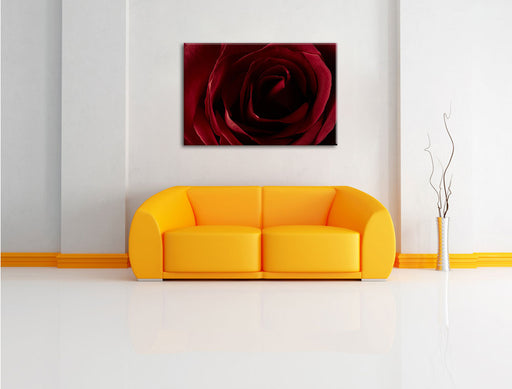 Rote Rose Leinwandbild über Sofa