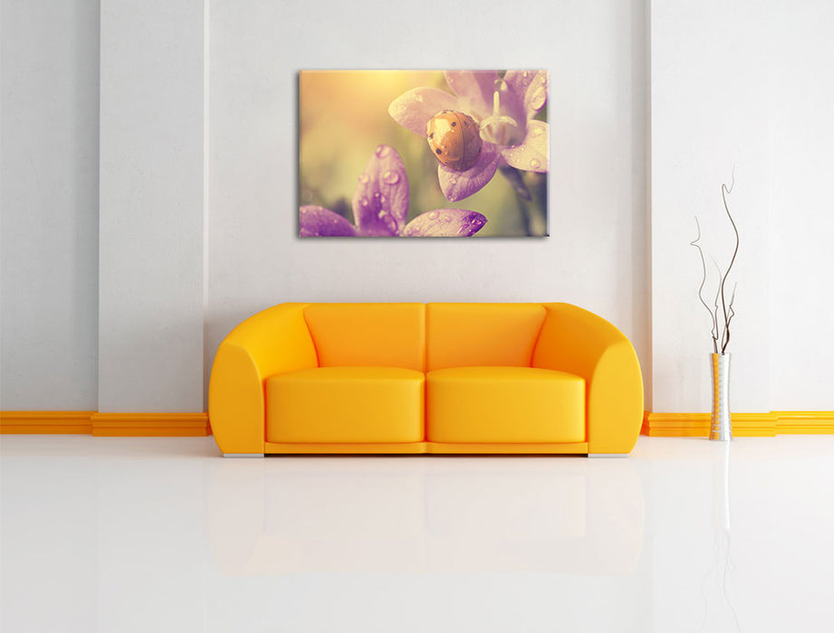 Marienkäfer auf Blüte Leinwandbild über Sofa