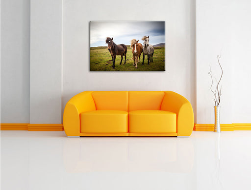 Drei wilde Islandpferde Leinwandbild über Sofa