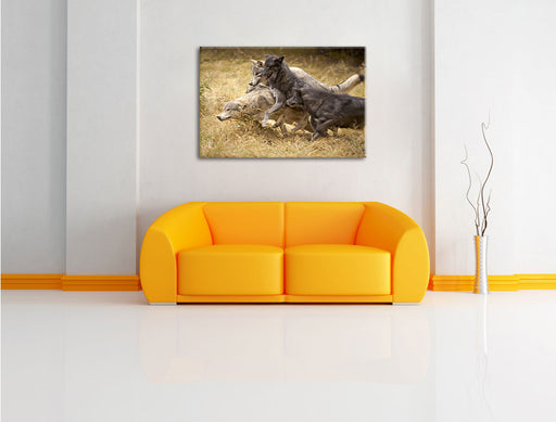 Tobendes Wolfsrudel Leinwandbild über Sofa