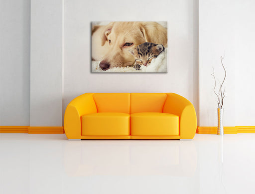 Träumendes Käzchen neben Hund Leinwandbild über Sofa