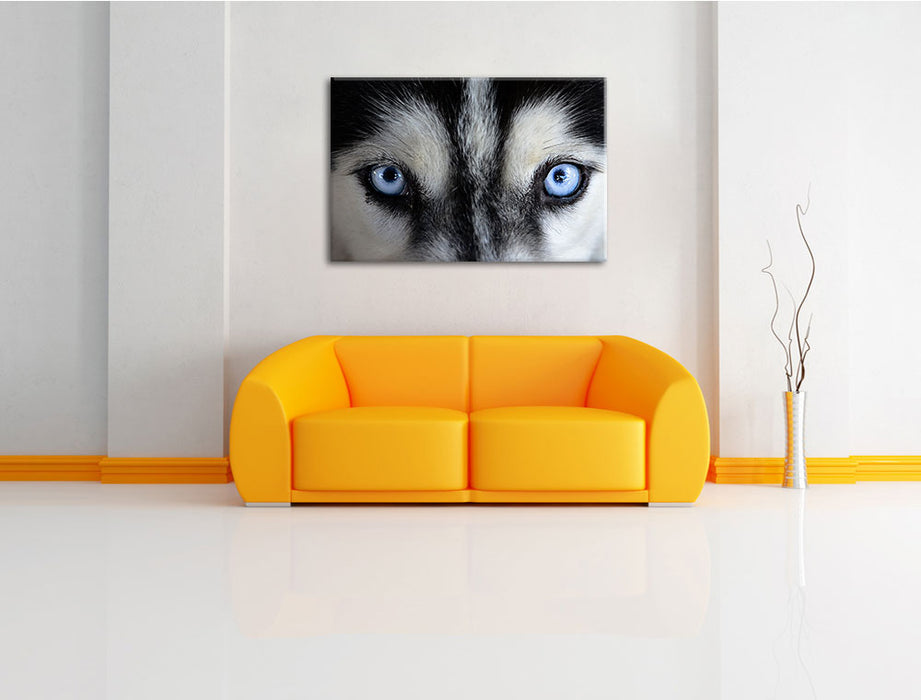 Eisblaue Huskyaugen Leinwandbild über Sofa