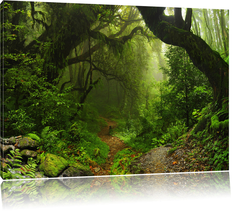 Pixxprint Mystischer Regenwald, Leinwandbild