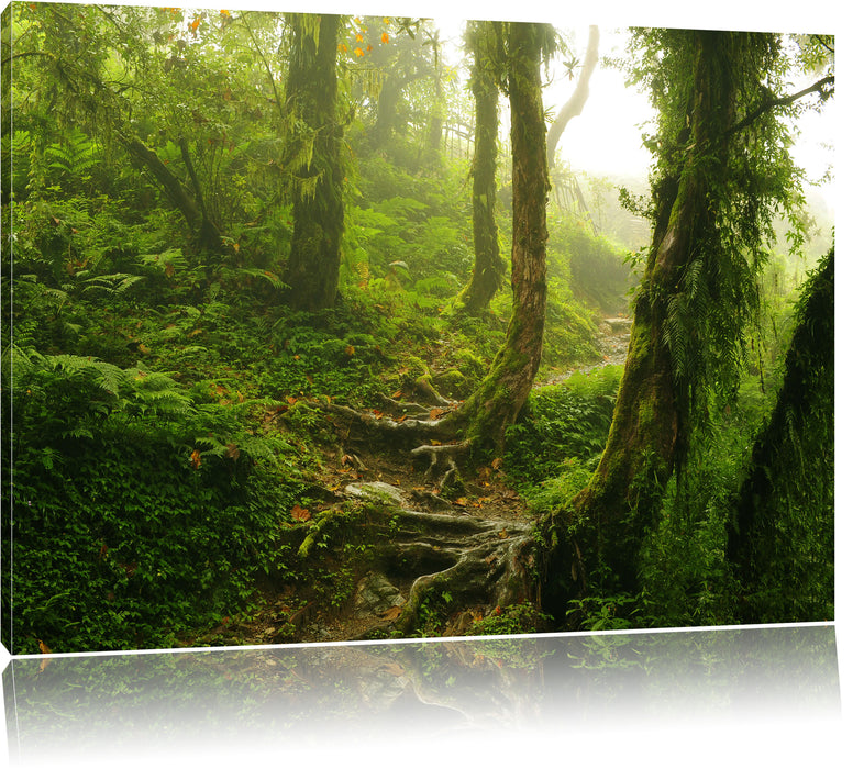 Pixxprint Unberührter Regenwald, Leinwandbild