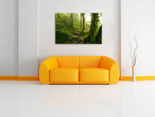 Unberührter Regenwald Leinwandbild über Sofa