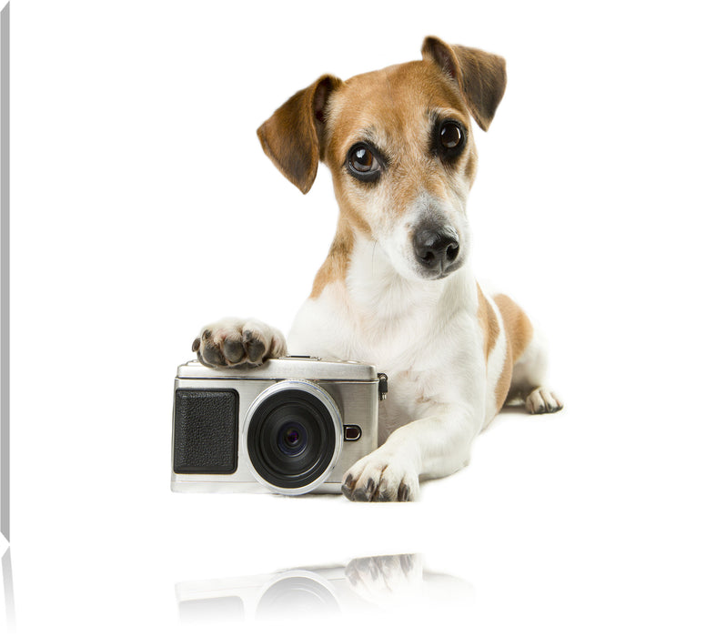 Niedlicher Hundewelpe mit Kamera Leinwandbild