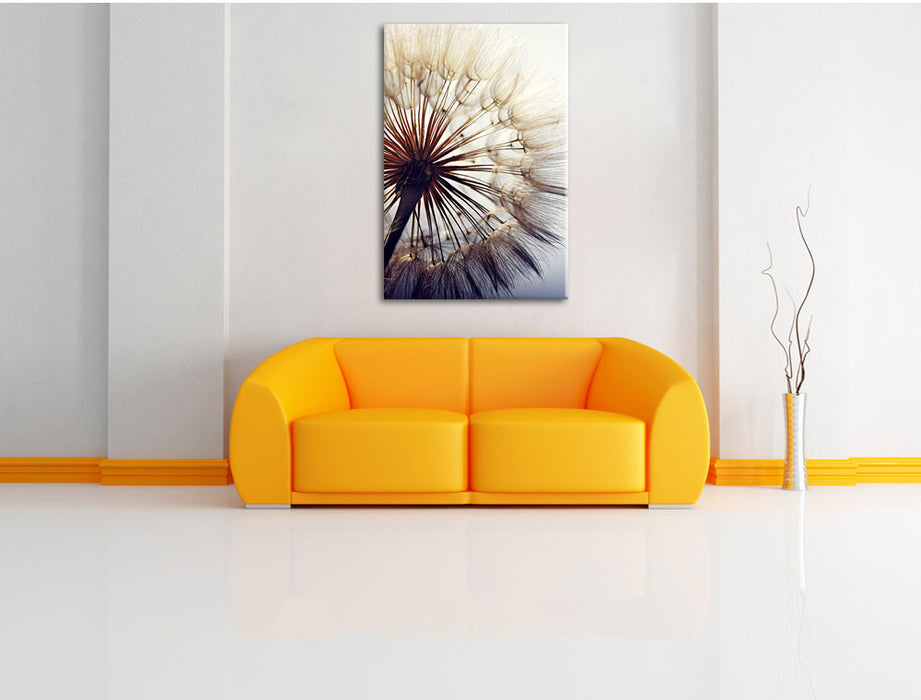 Schöne Pusteblume 1 Leinwandbild über Sofa