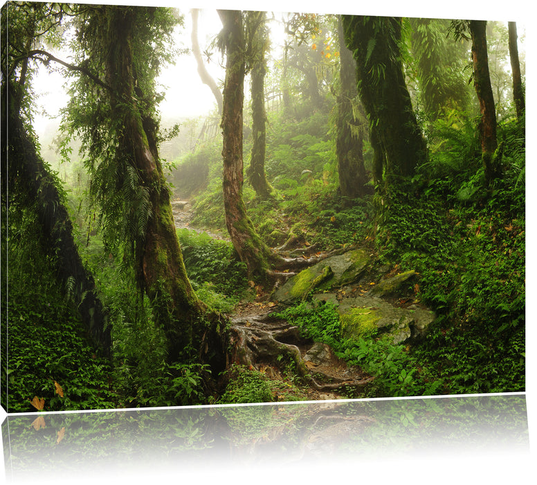 Pixxprint Tropischer La Selva Dschungel, Leinwandbild