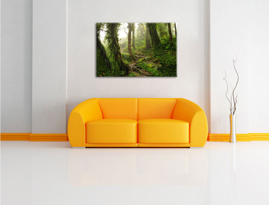 Tropischer La Selva Dschungel Leinwandbild über Sofa