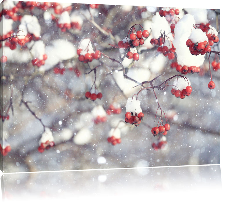 Pixxprint Vogelbeeren mit Schnee bedeckt, Leinwandbild