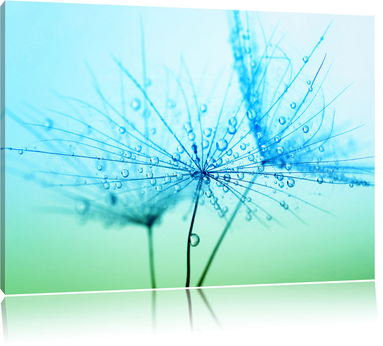 Pixxprint Pusteblume bedeckt mit Tropfen, Leinwandbild
