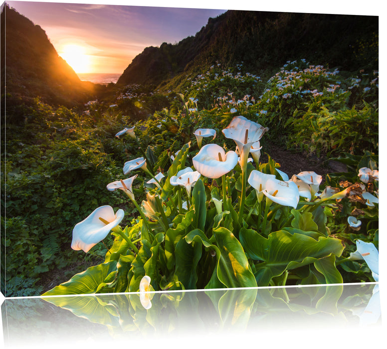 Pixxprint Blumenwiese in den Bergen, Leinwandbild
