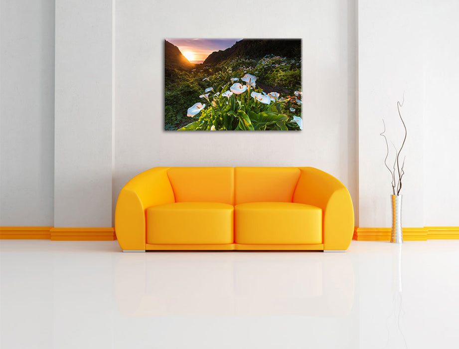 Blumenwiese in den Bergen Leinwandbild über Sofa