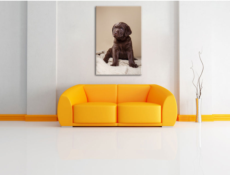 Hundewelpe auf Pullovern Leinwandbild über Sofa