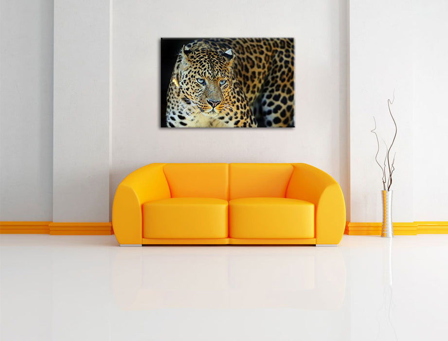 Prächtiger Leopard Leinwandbild über Sofa