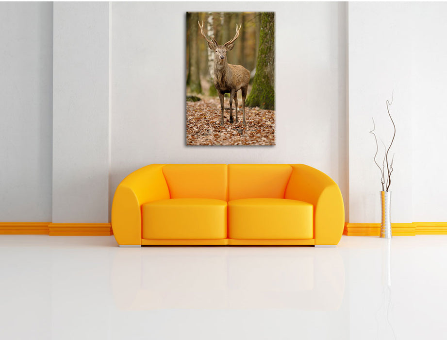 Schöner Hirsch im Wald Leinwandbild über Sofa