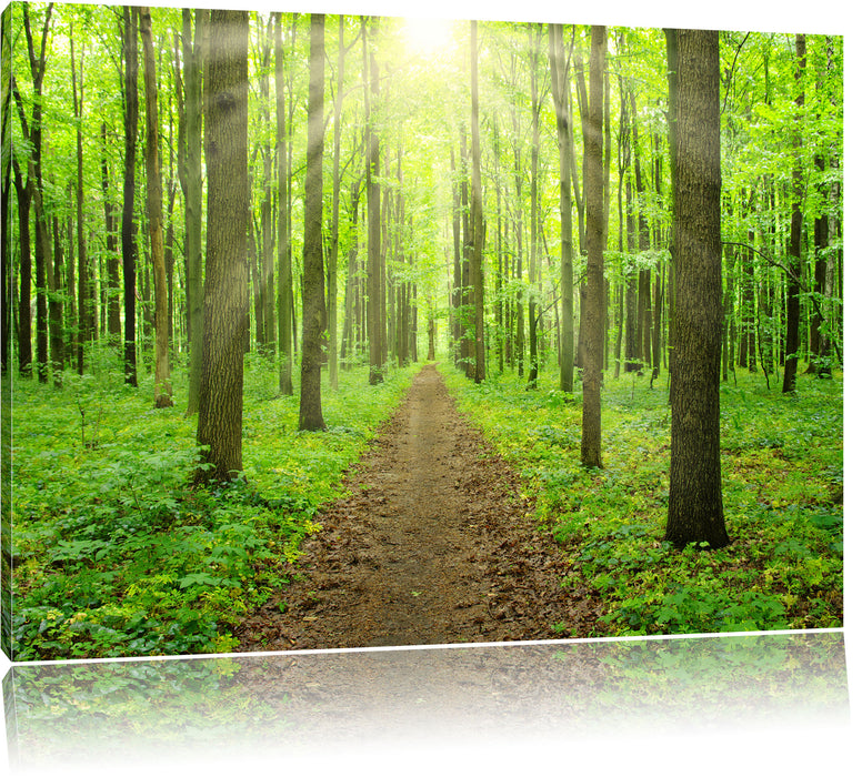 Pixxprint Sonne im Wald, Leinwandbild