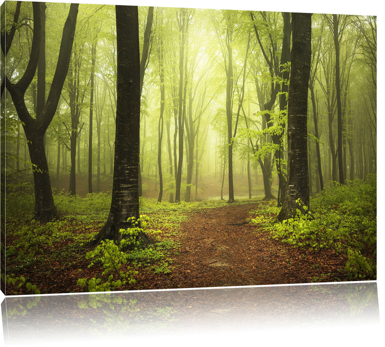Pixxprint Weg in den Wald, Leinwandbild
