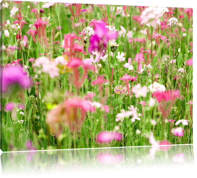 Pixxprint Wundervolle Blumenwiese, Leinwandbild