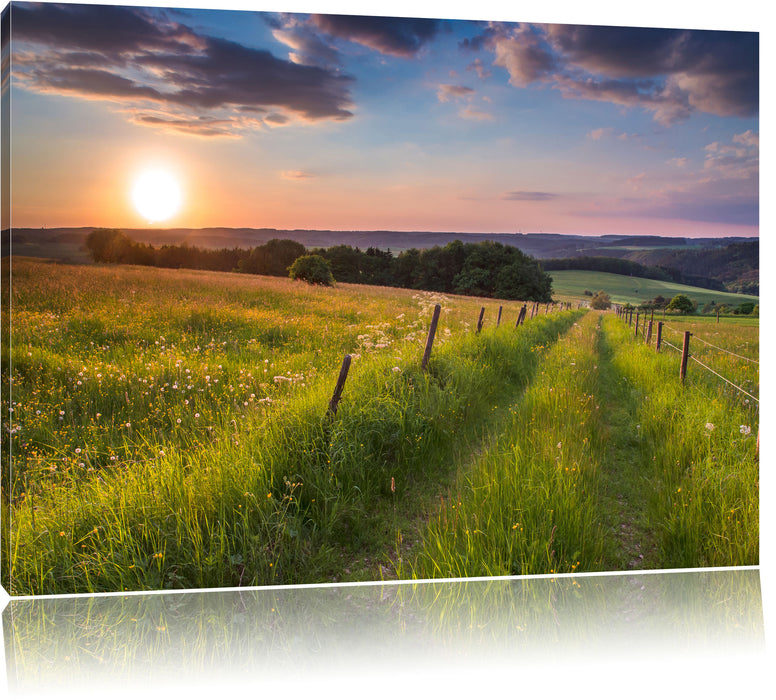 Pixxprint Bergwiese im Sonnenaufgang, Leinwandbild